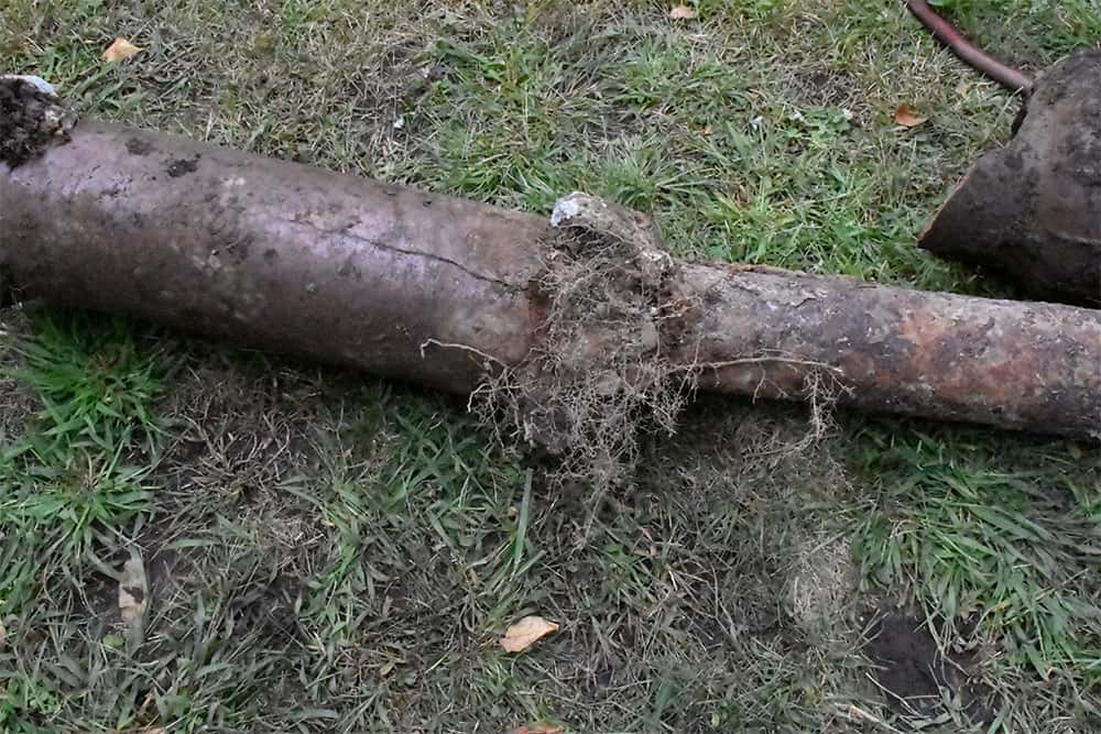 Pipe Root Intrusion Repair Pipe Root Intrusion Repair Wilmington, MA